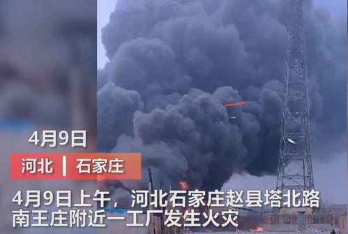 最新蓬莱爆料事件视频大全,视频大全揭秘惊人真相 第2张 最新蓬莱爆料事件视频大全,视频大全揭秘惊人真相 第2张