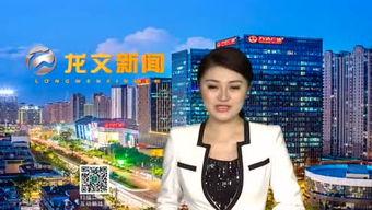 龙文新闻爆料,揭秘重大事件背后真相