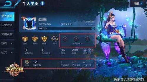 王者爆料素材视频大全高清,高清素材视频大全,揭秘游戏幕后精彩瞬间 第3张 王者爆料素材视频大全高清,高清素材视频大全,揭秘游戏幕后精彩瞬间 第3张