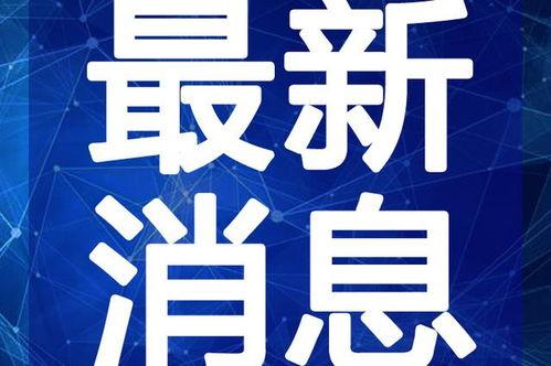 温州情侣爆料案件视频最新,真相背后，一段惊心动魄的悬疑故事