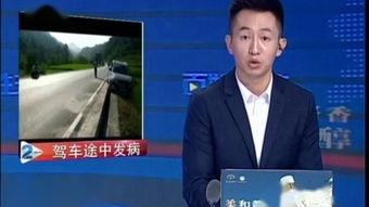 贵州2台直播在线观看,实时捕捉多彩贵州风情 第3张 贵州2台直播在线观看,实时捕捉多彩贵州风情 第3张