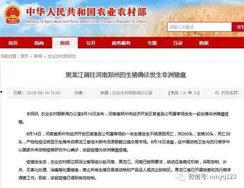 八村最新爆料新闻报道视频,揭秘幕后真相，独家视频曝光惊人内幕！”