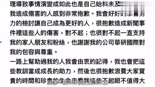 不良新闻爆料怎么写,真相与偏见交织的舆论漩涡