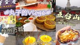忻州美食爆料案件视频播放,揭秘忻州特色小吃背后的真相
