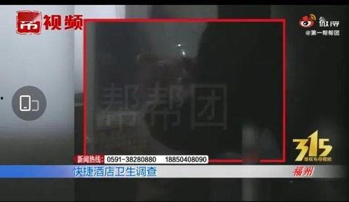 三帮视频在线观看,在线观看，畅享精彩瞬间  第2张