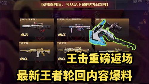 王者返场爆料看谁的视频,揭秘神秘英雄即将回归！