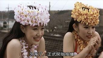 扶桑花女孩在线观看,穿越时空的奇幻之旅 第3张 扶桑花女孩在线观看,穿越时空的奇幻之旅 第3张