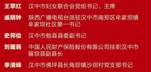 汉中新闻爆料热线,倾听民声,守护城市和谐 第3张 汉中新闻爆料热线,倾听民声,守护城市和谐 第3张