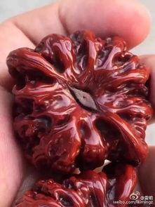 包浆爆料视频大全集,揭秘古董收藏的奥秘与魅力 第3张 包浆爆料视频大全集,揭秘古董收藏的奥秘与魅力 第3张