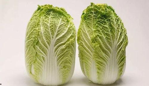 大白菜直播爆料视频,独家爆料视频内容大起底