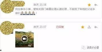微视频爆料海口,城市魅力与生活点滴 第3张 微视频爆料海口,城市魅力与生活点滴 第3张