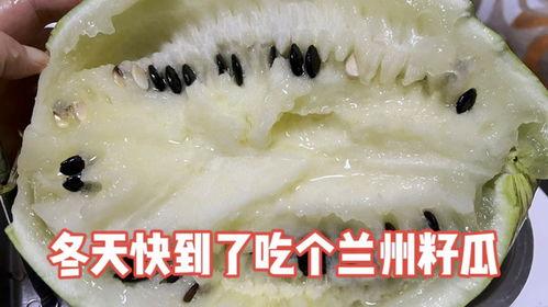 兰州免费吃籽瓜,免费品尝甜蜜籽瓜,共享瓜香满城时光 第2张 兰州免费吃籽瓜,免费品尝甜蜜籽瓜,共享瓜香满城时光 第2张