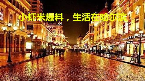 哈尔滨小虾米最新爆料,揭秘神秘事件背后真相 第2张 哈尔滨小虾米最新爆料,揭秘神秘事件背后真相 第2张