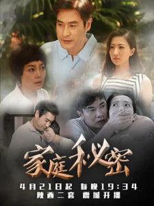 家庭秘密全集在线观看,全集在线观看深度解析  第2张