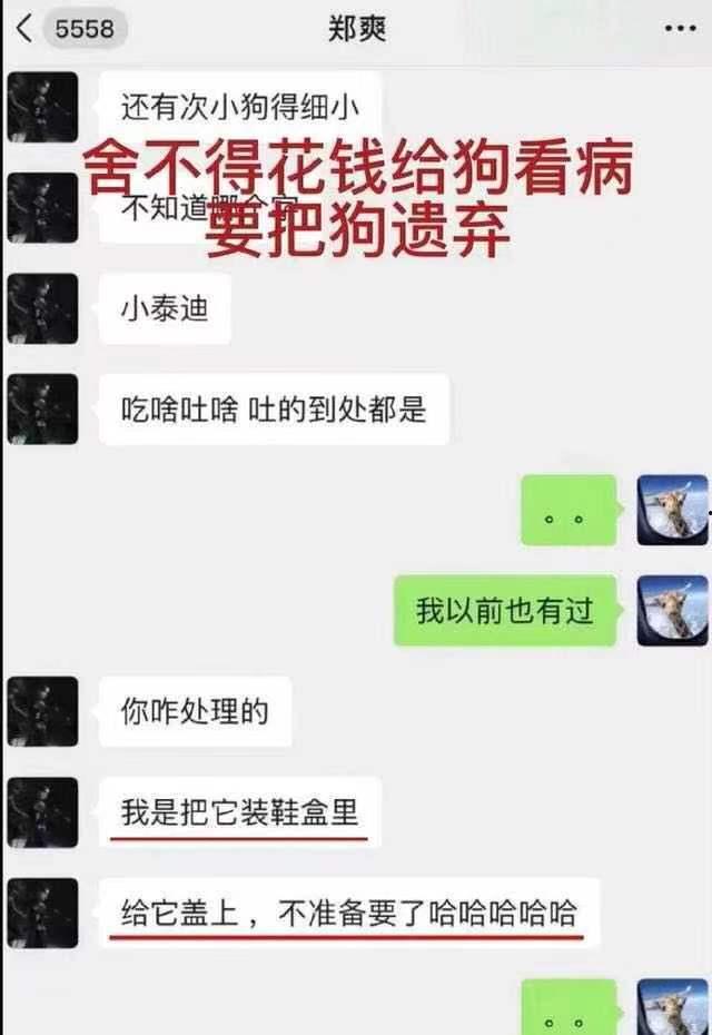 张恒爆料记录最新情况,揭秘娱乐圈惊天内幕 第2张 张恒爆料记录最新情况,揭秘娱乐圈惊天内幕 第2张