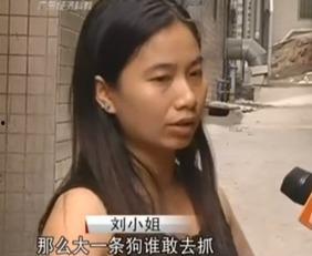 网友刘小姐爆料视频,一窥网络热点背后的真相