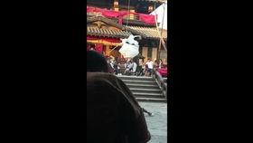 晓慧爆料视频大全最新版,揭秘娱乐圈最新动态  第2张