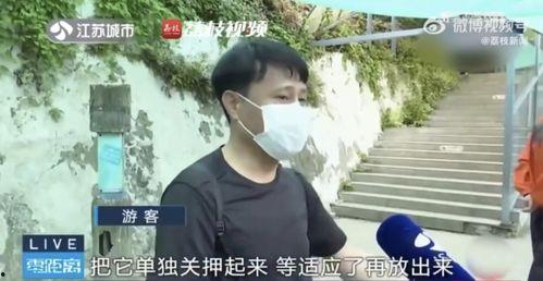 网红吃瓜小玉是谁啊,她是如何成为网络红人的？