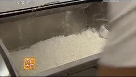 兰州牛肉爆料视频播放全集,一视频揭秘全城热爱的美食传奇