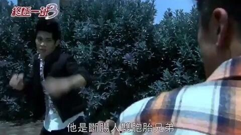 黑龙爆料辛卫林视频播放,辛卫林视频播放背后的惊人真相  第3张