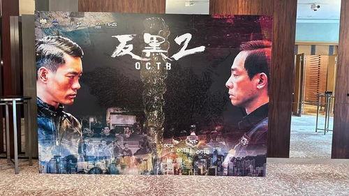 反黑2在线观看,在线观影，黑帮风云再起