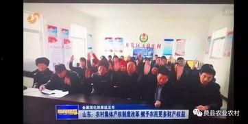 费县新闻爆料,聚焦当地热点事件,揭示社会现象 第2张 费县新闻爆料,聚焦当地热点事件,揭示社会现象 第2张