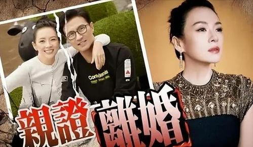 刘大锤最新爆料原版下载,原版下载背后的秘密与真相