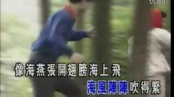 飞向我在线观看,一场跨越时空的奇幻之旅