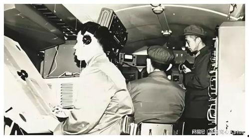 飞向我在线观看,一场跨越时空的奇幻之旅  第3张