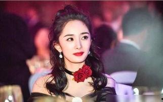 娱乐大爆料张雨绮赵薇,揭秘娱乐圈背后的故事  第2张