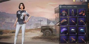 最新爆料和平精英要出哪些军需,神秘军需即将登场，哪些亮点等你探索？  第3张