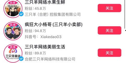 爆料三只羊最新消息,揭秘幕后真相与惊人内幕！