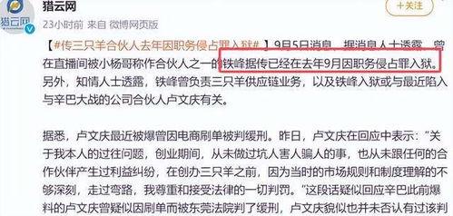 爆料三只羊最新消息,揭秘幕后真相与惊人内幕！  第3张