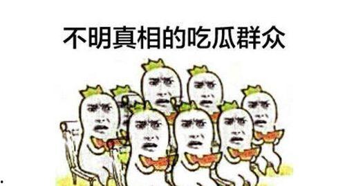 吃瓜群众娱乐素材视频,揭秘热门娱乐素材视频背后的趣味故事  第2张