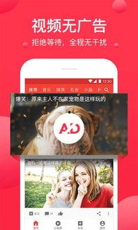 西瓜视频爆料库在哪里打开,一键解锁海量内容，探索视频世界的秘密角落