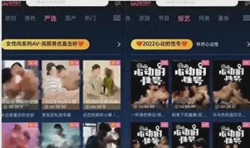 爆哥爆料视频网站入口,独家视频网站入口大曝光，带你畅游影视世界！