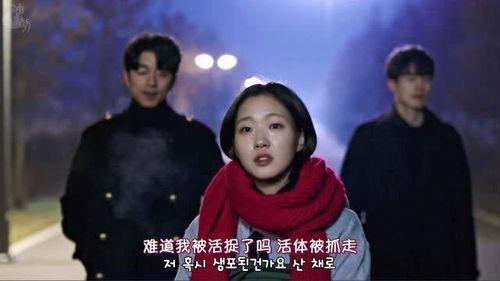 鬼怪16集在线观看,揭秘神秘真相，情感纠葛再升级