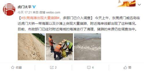 开平金山爆料事件视频曝光,视频曝光揭开惊人真相 第2张 开平金山爆料事件视频曝光,视频曝光揭开惊人真相 第2张