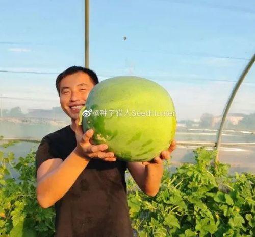 娱乐吃瓜酱百岁  第2张