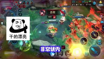 王者爆料大嘴猴视频大全,大嘴猴视频大全精彩集锦