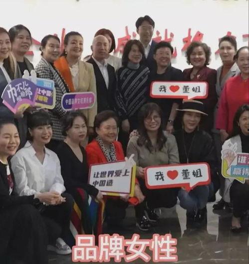 张兰爆料董明珠视频全集,视频全集深度解析