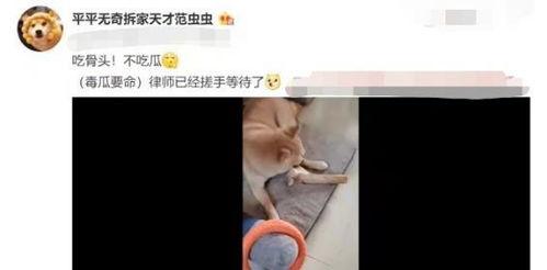 张小寒爆料的真实性视频,揭秘事件真相与内幕  第2张