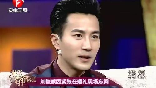 李静爆料刘恺威视频事件,真相背后引人深思  第3张