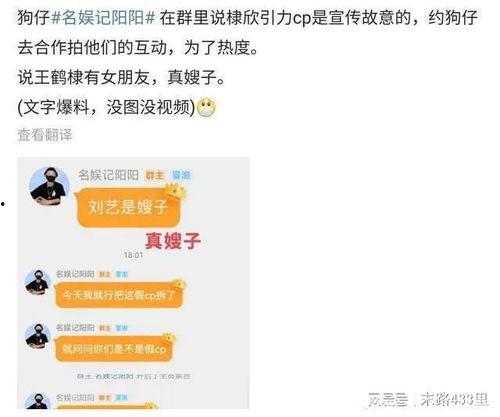 娱乐圈爆料王鹤棣虞书欣,娱乐圈新晋情侣甜蜜互动引热议  第3张