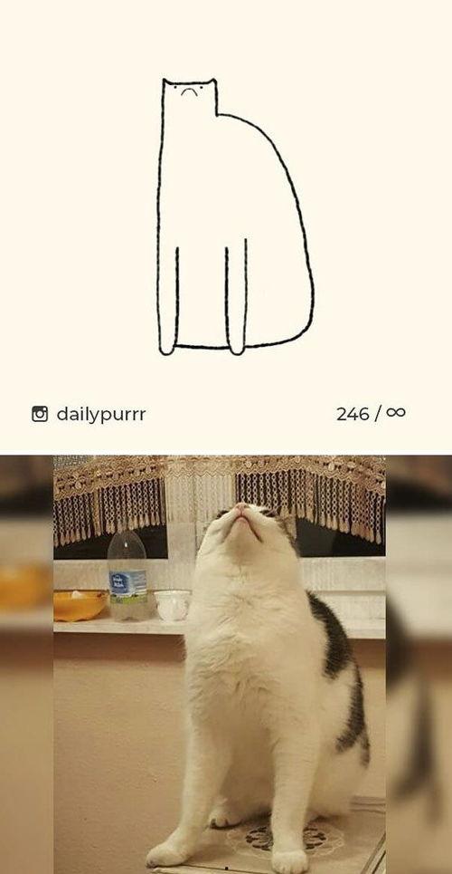 穿越朝堂成吃瓜网红,变身吃瓜网红，揭秘宫廷秘闻！  第2张