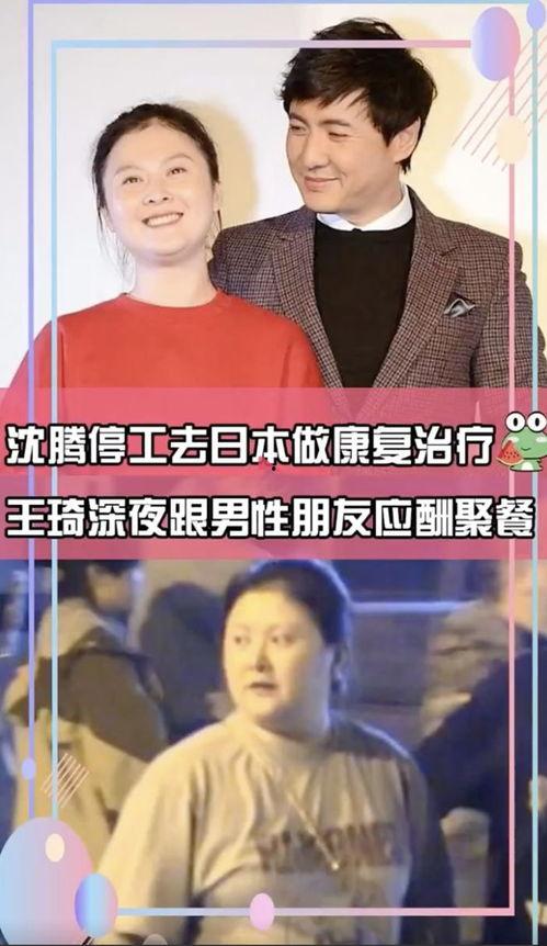 沈腾王琦最新爆料,揭秘娱乐圈幕后真相  第3张