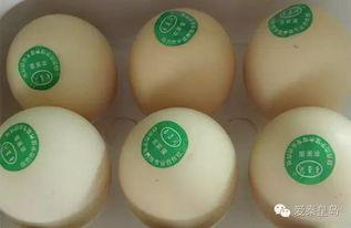 鸡蛋生产爆料视频大全,爆料视频大全深度解析  第2张