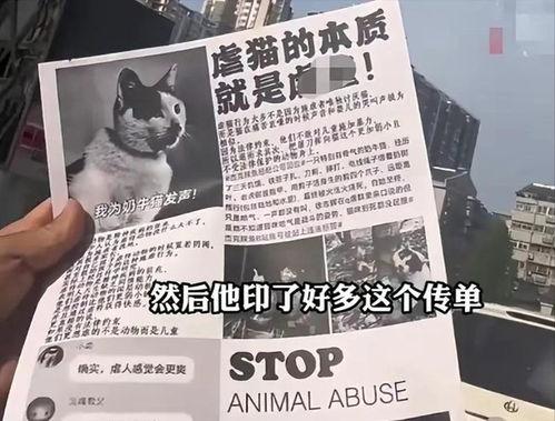 网红杰克辣条爆料视频在线观看,揭秘网红幕后真相