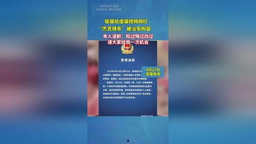 网红杰克辣条爆料视频在线观看,揭秘网红幕后真相  第2张