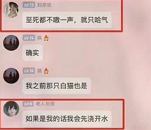 网红杰克辣条爆料视频在线观看,揭秘网红幕后真相  第3张